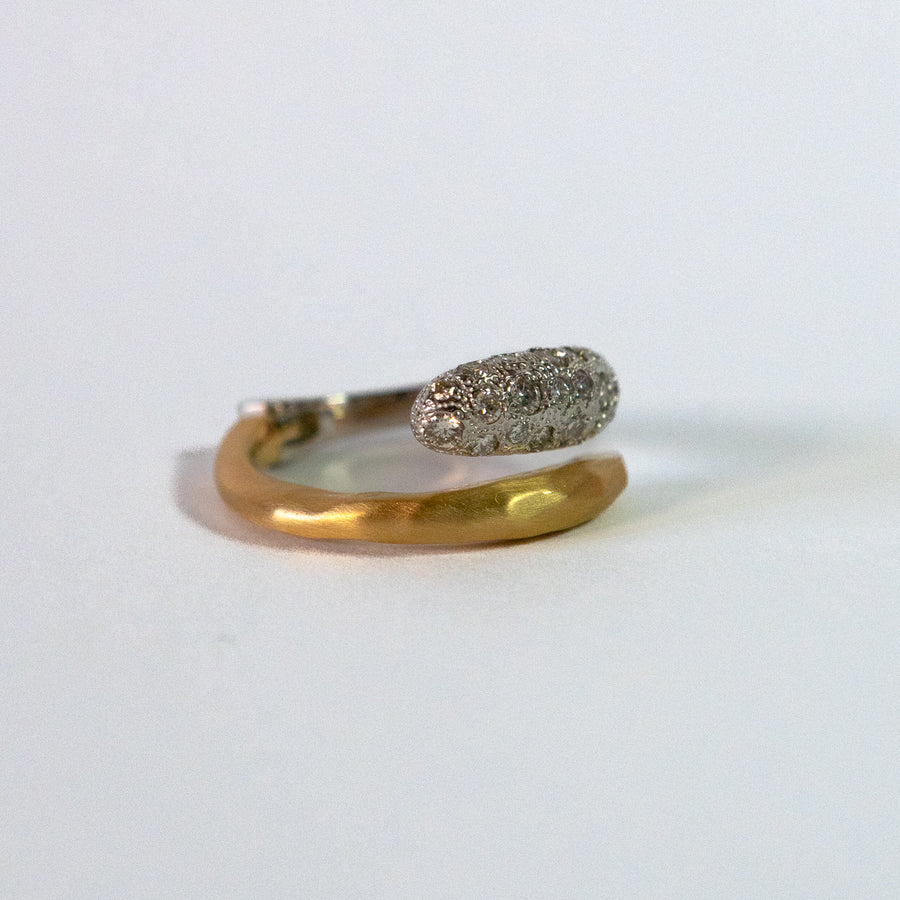 HAVITAS Milkyway ring K18YG/PT900 (HVR-016C)
