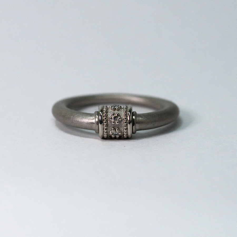 HAVITAS / "URD" roll ring PT900×DIA