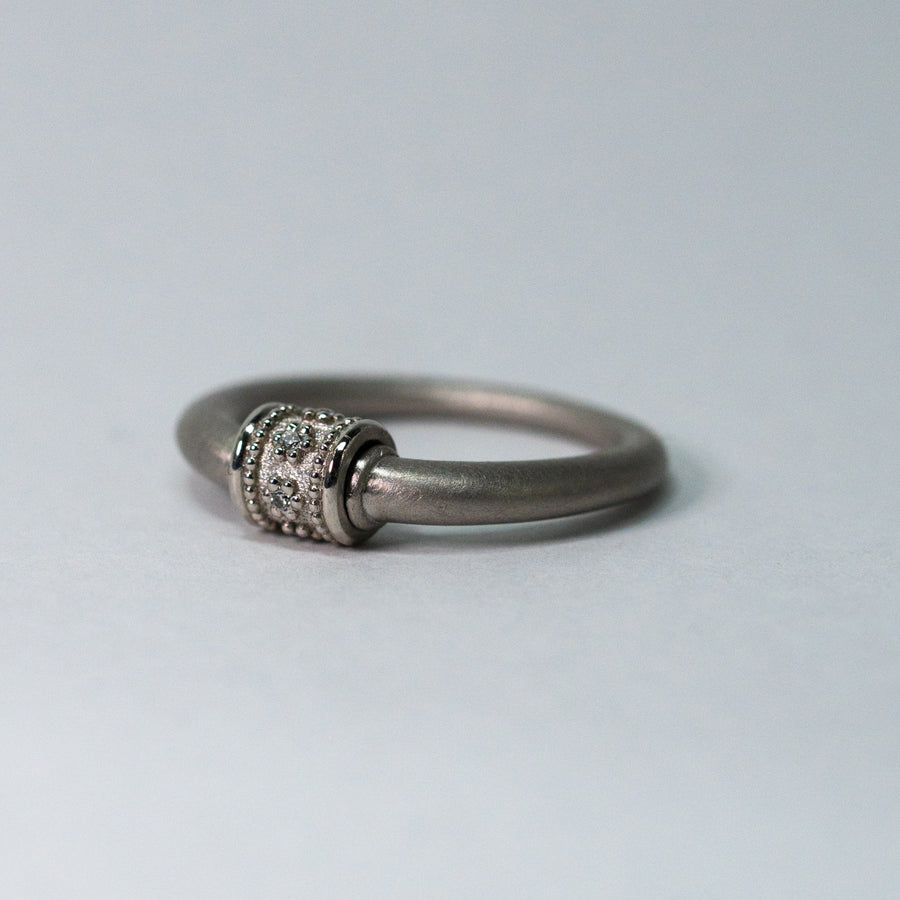 HAVITAS / "URD" roll ring PT900×DIA