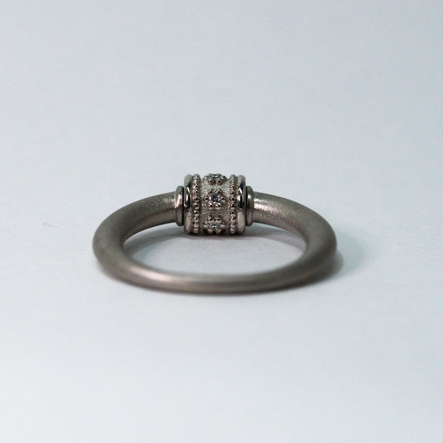 HAVITAS / "URD" roll ring PT900×DIA