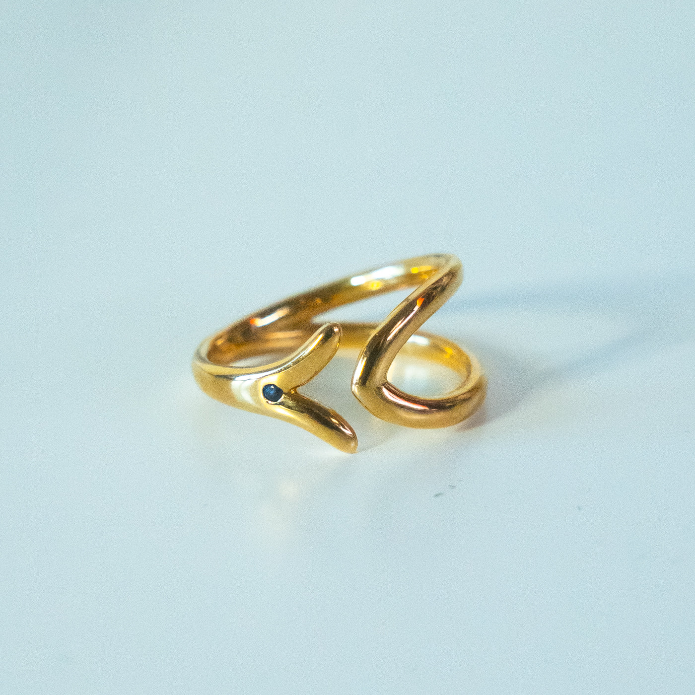 HAVITAS ”ICHTUS”  Fish symbol ring　K18YG