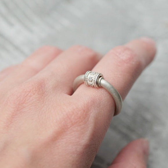 HAVITAS　Granulation pipe ring Dia PT900